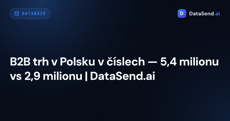 B2B trh v Polsku v číslech — 5,4 milionu vs 2,9 milionu | DataSend.ai