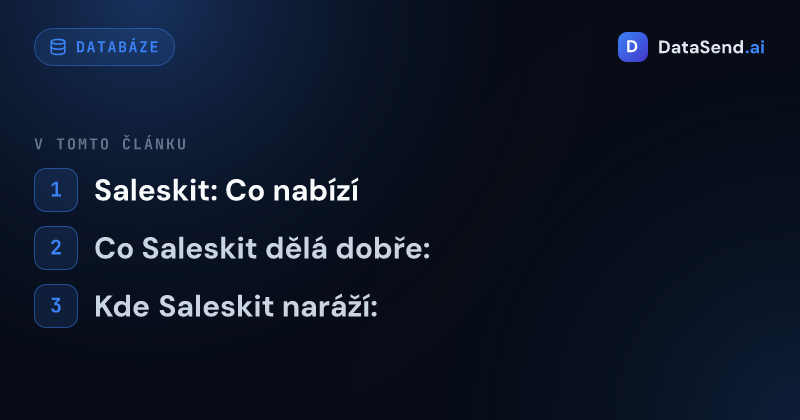 Saleskit vs BizMachine — která platforma je lepší pro CZ a SK | DataSend.ai