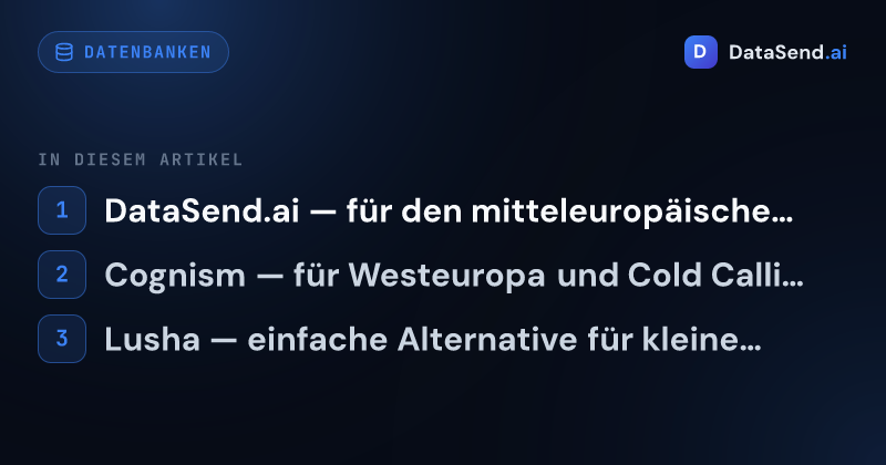 Die besten Alternativen zu Apollo.io für den europäischen Markt 2026 | DataSend.ai