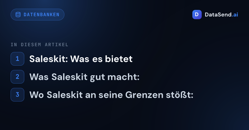 Saleskit vs BizMachine — welche Plattform ist besser für CZ und SK | DataSend.ai