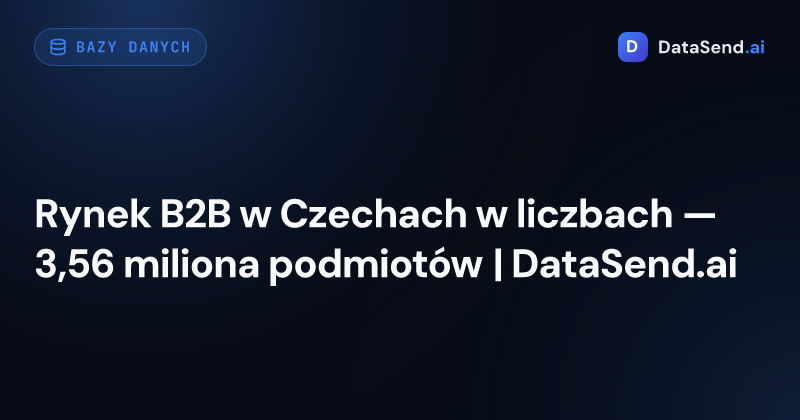 Rynek B2B w Czechach w liczbach — 3,56 miliona podmiotów | DataSend.ai